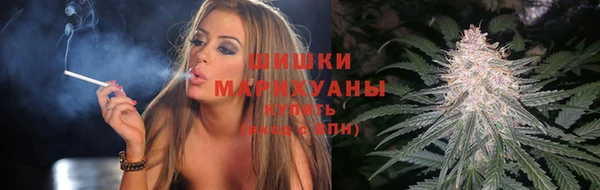 индика Новокубанск