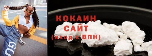PSILOCYBIN Саки